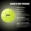 image:imageSelkirk Sport Q1 Quiet Pickleball Balls  312100 Pack Pickle Ball Set100 Pack
